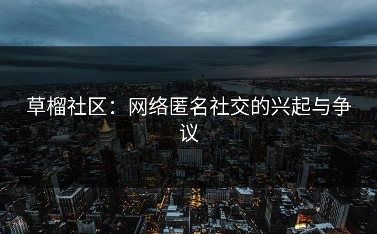 草榴社区：网络匿名社交的兴起与争议