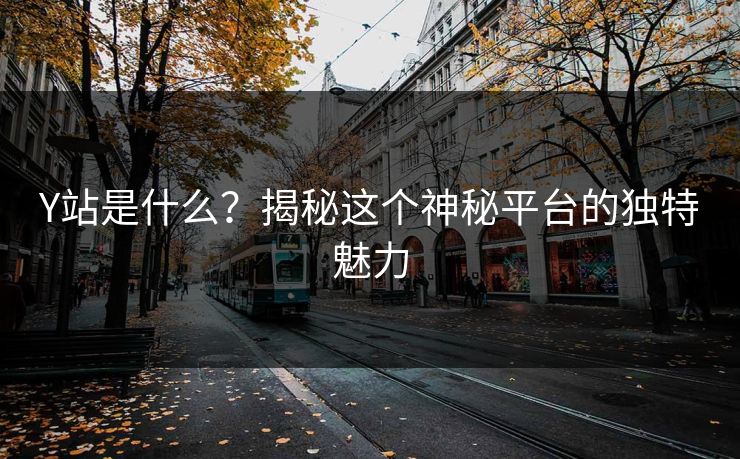 Y站是什么？揭秘这个神秘平台的独特魅力
